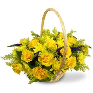 Медовый месяц